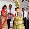 Pensioner Day Program